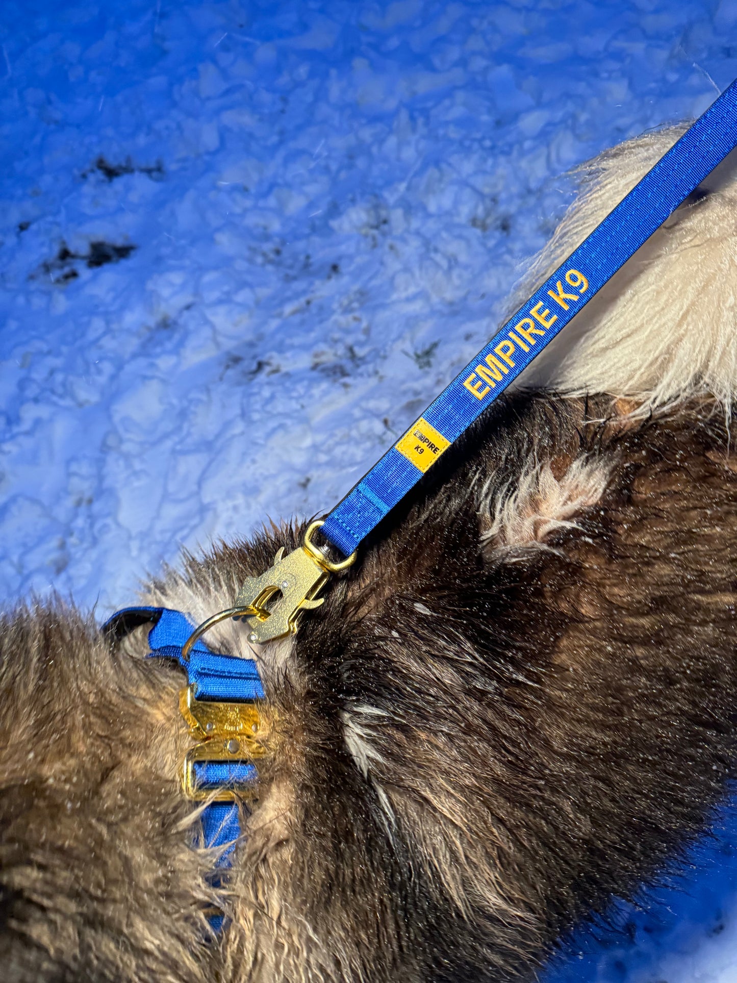 Blue Combat Collar 5cm