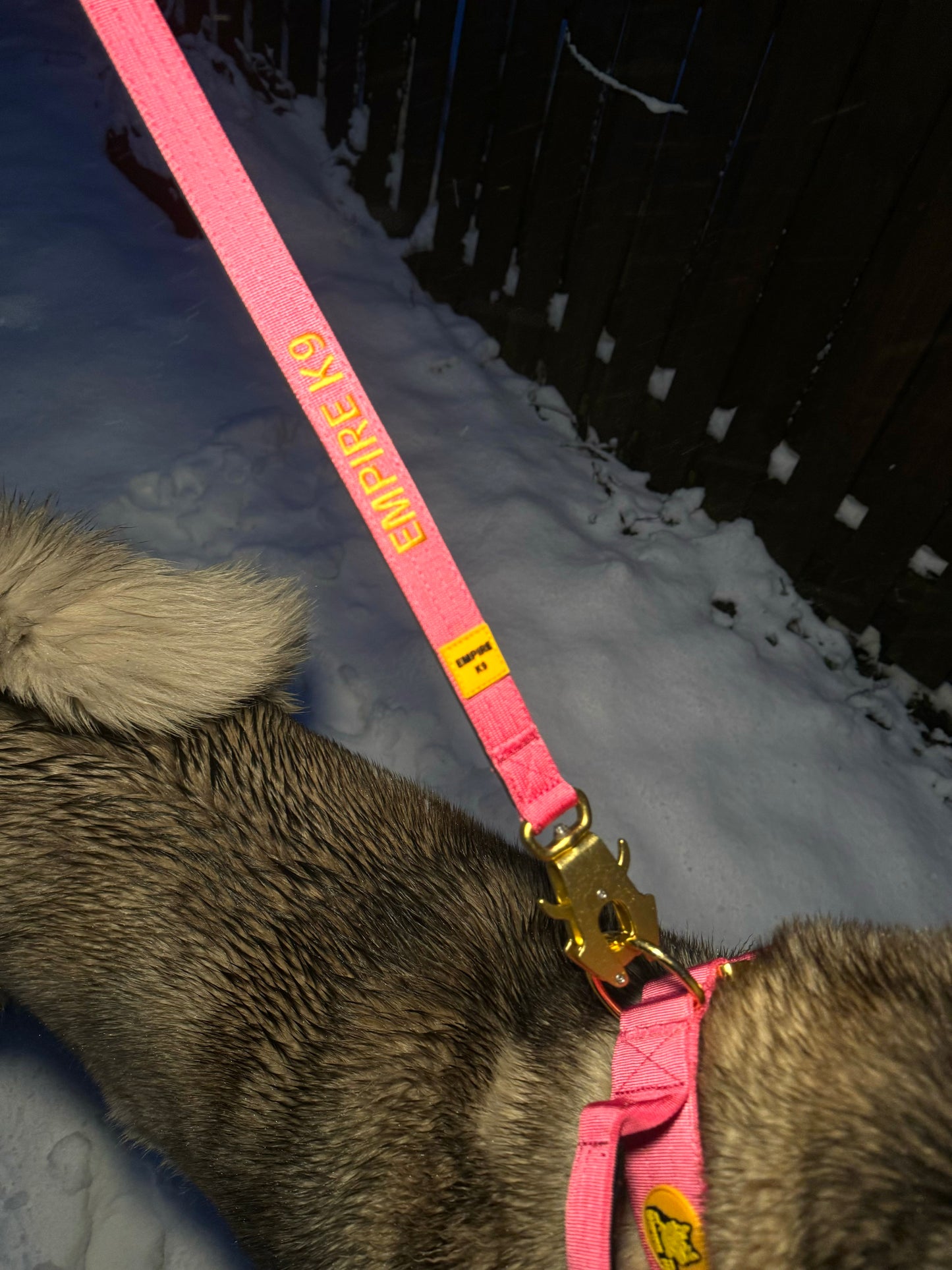 Pink Combat Collar 5cm