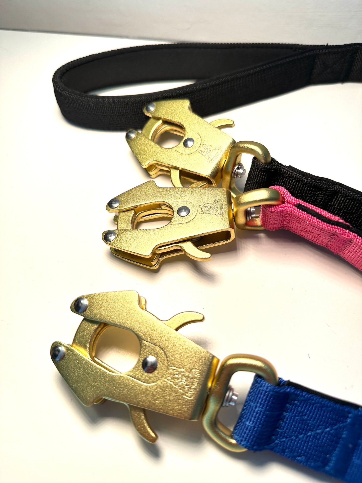 Dog Leash /W Gold Frog Clip