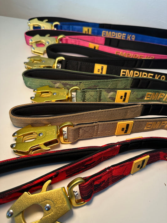 Dog Leash /W Gold Frog Clip