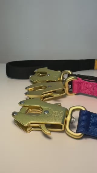Dog Leash /W Gold Frog Clip